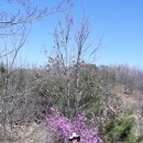 화산보건지소 이미지