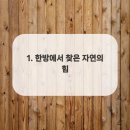 구로-구로-구로-2226 이미지