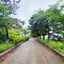 강동동행정복지센터 이미지