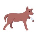 Central 동물병원 | 십자인대 부분파열에서 완전파열로 얼마나 빠르게 진행되나요? - 울산 경주 강아지 TPLO 전문 동물병원