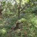 천정약수터 이미지