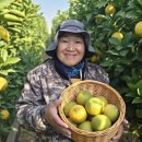 경이농장 이미지