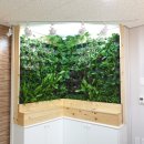 - 부산 사상구 육아지원센터 ㄱ자형 Green wall at Sasangu in Busan 이미지