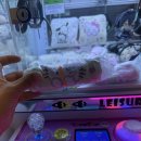 뽀끼랜드 이미지