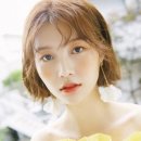 시크시그널 이미지