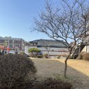 궁전갈치찜 | 군산맛집 궁전갈치찜 갈치조림 제대로 먹고옴