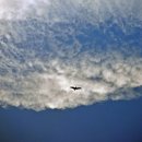 낙동강하구아미산전망대 이미지