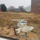 녹동중학교 이미지