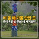 제주 상효동 한란자생지 | 해_서귀포시편, 신효동 하귤나무, 제주 상효동 한란 자생지,서복전시관, 서귀포 김정희 유배지, 헌마...