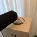 샤넬다방 이미지