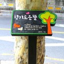 사인1리 이미지