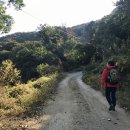 백현중학교 뒤 이미지