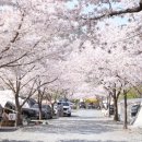 경호강야영장 이미지