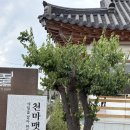 경주 천마맷돌순두부 황리단길 웨이팅 솔직후기