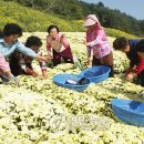 호정2리 이미지