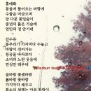 화분 / 러브홀릭 이미지