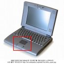 터치팜