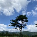 드림힐주 | 연못, 조경수가 플레이의 재미를 더하며, OB 패널티로 확실한 벌칙을 제공하는 석정힐CC 후기와 주변 맛집