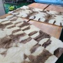 수선세탁 이미지