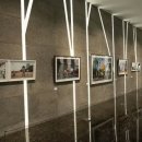 강아지숲 박물관 이미지