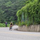 새만금MTB | 2020 부안 새만금 잼버리 메디오폰도 후기 (개인 첫 1등)