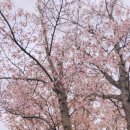 실로암안경원 이미지