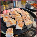 신마포갈매기 이미지