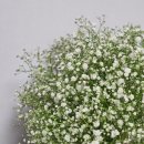 시안농장 | W-08. 부산 모던마인드 스튜디오 촬영 및 보정 후기(추가금 드레스, 기본 드레스, 촬영 시안)