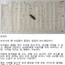 승경도 - 조상님들이 만들어낸 궁극의 정치 시뮬레이션 게임 이미지