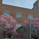 한국교원대 교육연구관 이미지