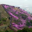 2016년 4월13일 (수요일) 평일산행 강화도 고려산 (주관/상도) 이미지