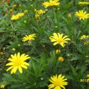 화촌농장 이미지