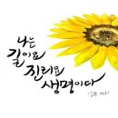 [삼위일체 대축일] 우리는 무엇을 믿으며 살아갈 것인가? 이미지