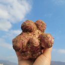 바람결에-해빙 이미지