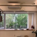 신정1지구대 옆 이미지