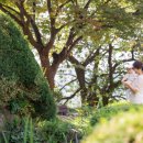 세종호텔 | 춘천 돌잔치] 춘천 세종호텔 돌스냅 후기입니다^^ (feat. 쌍둥이)