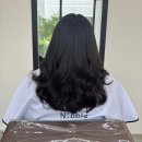 노블헤어밸런스