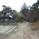 은선리토성 티스토리