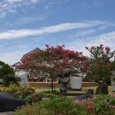 표선면 동산식당 이미지