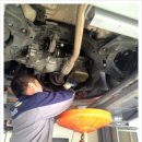 김영진자동차병원 이미지