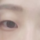 비비브로우vivibrow