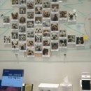 오복동물치과병원 이미지