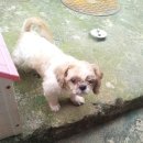 만수1동-8 이미지