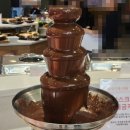 대전 쿠우쿠우 재방문 후기 초밥 좋아하는 사람 모여라! (아이들과 함께 즐기기 딱 좋은 곳)