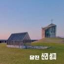 천주교평택교회 | 충남 당진 여행지) 아름답고 성스러운 공간 「신리성지」 주차,방문·개방시간, 순교 미술관, 카페 치타...