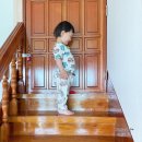 삼달바다향 이미지