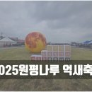 군문교 | 평택 원평나루 억새축제 2025 방문 후기｜“가을 냄새 따라 평택으로”