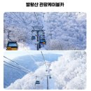 하나로카프라자 | 강원도 평창군 대관령 발왕산케이블카 적설량 설산 후기 장애인할인