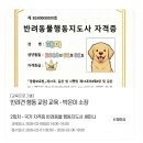 푸른바다독스쿨 이미지