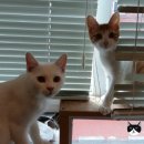 릴리호텔 이미지